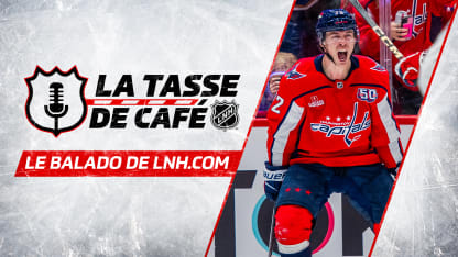 tasse web