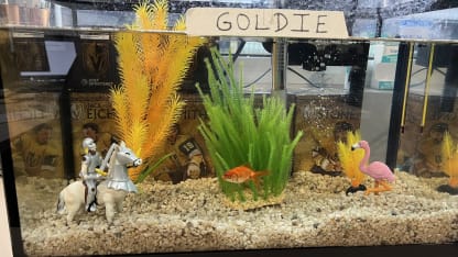 Vegas Golden Knights introduce new team pet goldfish