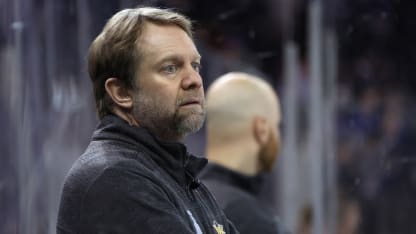 dana-heinze-sidekick