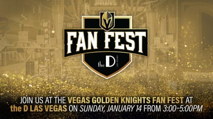 VGK1718_FanFest-TheD(2568x1444)
