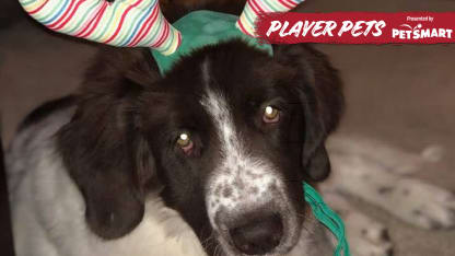 Boudreau Player Pets