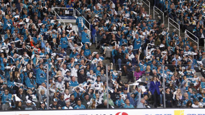 sharks crowd