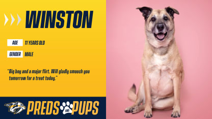 Preds & Pups: Winston