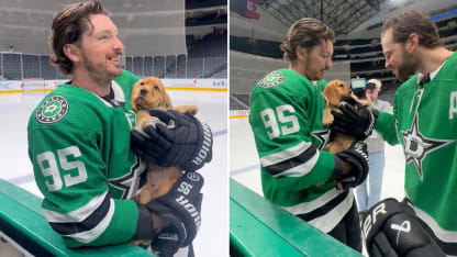Matt Duchene brings puppy to meet Dallas Stars