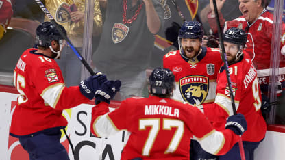 Florida panthers