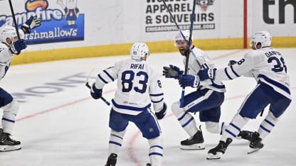Marlies win Calder Cup with Maple Leafs prospects