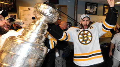 bergy cup
