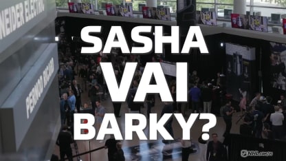 Sasha vai Barky?