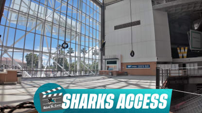 Sharks Access: Tank Construction Pt 1
