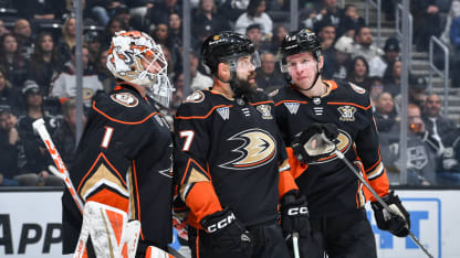 32 týmů ve 32 dnech Anaheim Ducks