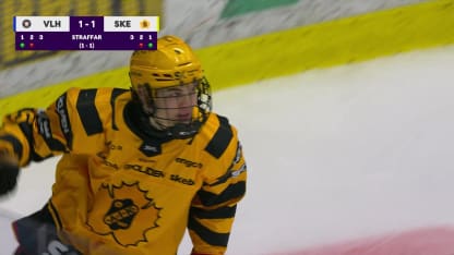 Höjdpunkter Sandin Pellikka