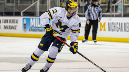 Johnson_Michiganhockey_0879