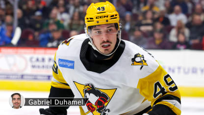 HarveyPinardLNHDuhamel