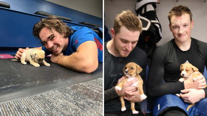 Avs visit by puppies