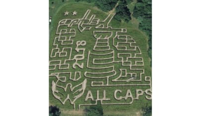 Caps_Corn_Maze
