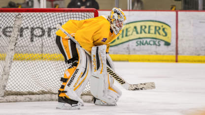 matt murray practice