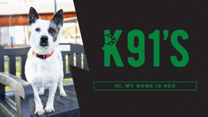 Neo's adoption fees are covered