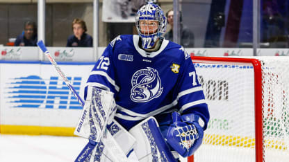 Ivankovic Brampton