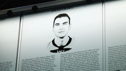 Zdeno Chara hall of fame image