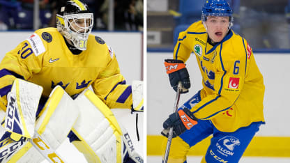 Ersson-Hogberg_20200129