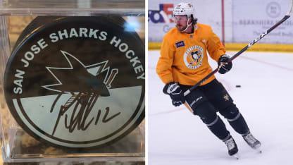 mccann-puck-sidekick