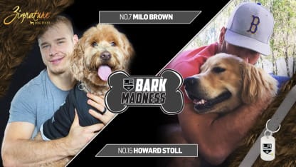 Milo-Brown-vs-Howard-Stoll Elite 8 Bark Madness 2018