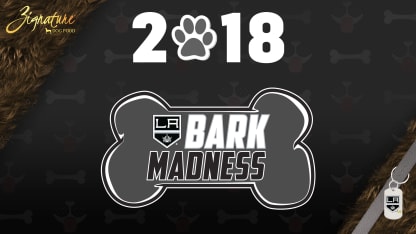 Bark-Madness-2018-16x9