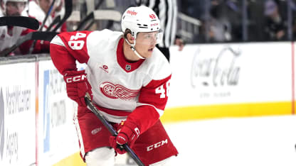 Detroit Red Wings forward Jonatan Berggren bötfälls för cross-checking