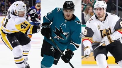 Sprong-Meier-Tuch 1-6