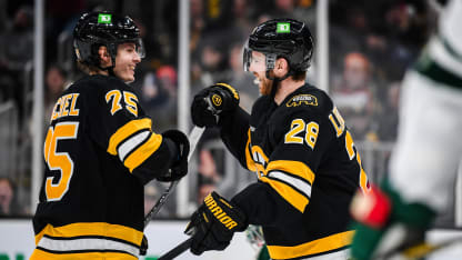 Boston Bruins mit komplettem Spiel gegen Minnesota