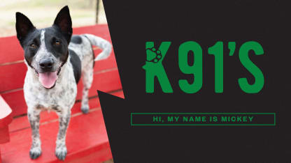 Mickey's adoption fees are covered