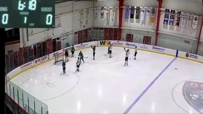 Beer league celebrates during Panthers win