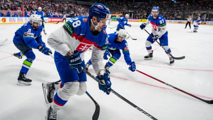 Slovakia vs. Slovenia 3