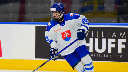 Team Slovakia v Team Sweden