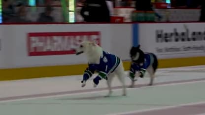 boeser dog winner