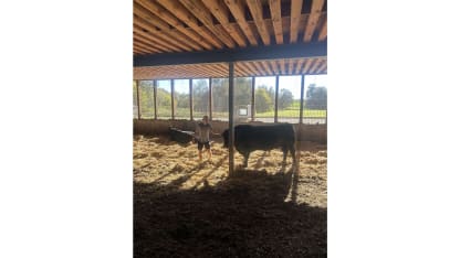 Brady Martin cow