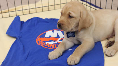 Isles_Puppy_02