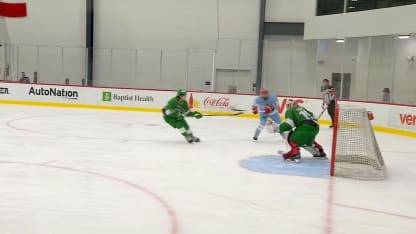 Schiavo's spectacular lacrosse-style goal