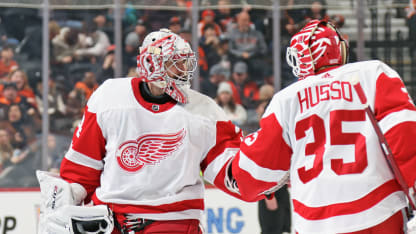 Den Detroit Red Wings gehen verletzungsbedingt die Goalies aus