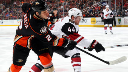 Ducks-Coyotes 11-4