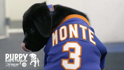 Islanders Third Puppy Named Monte