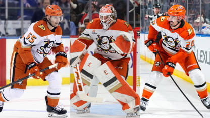 Dostál pomohl k vítěznému návratu Trouby s Kreiderem do MSG