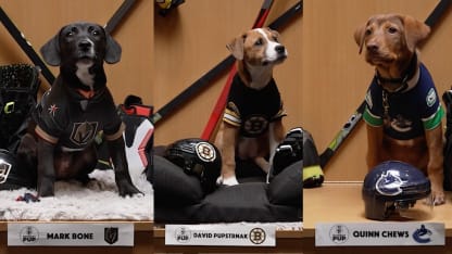 The first-ever Stanley Pup starting lineups