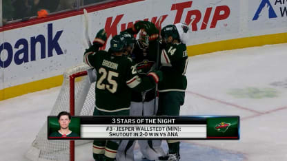 Three Stars of the Night