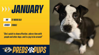 Preds & Pups: January