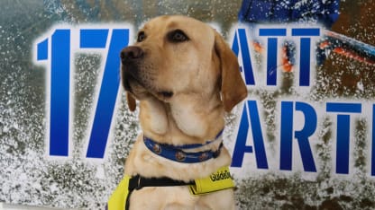 PHOTOS: Radar's Guide Dog Training