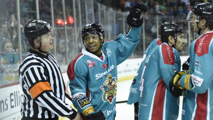 Belfast Giants Ice Hockey