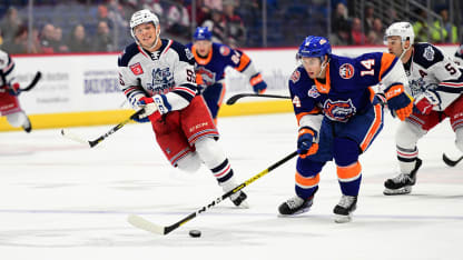 Lorito_blue_cropped_10.8.19