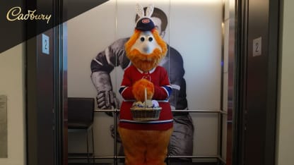 NJD@MTL: Cadbury Egg Hunt at the Bell Centre