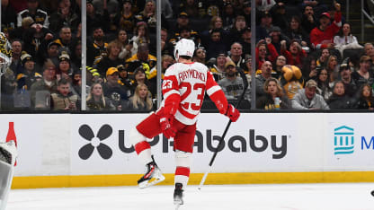 Raymond framme och nätar